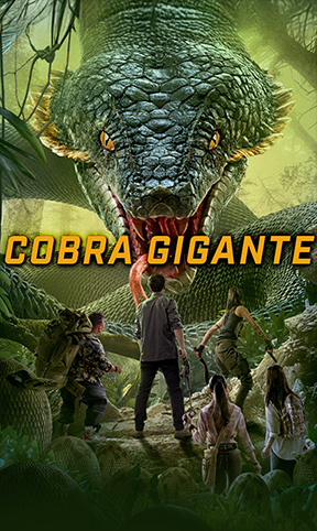 Filme